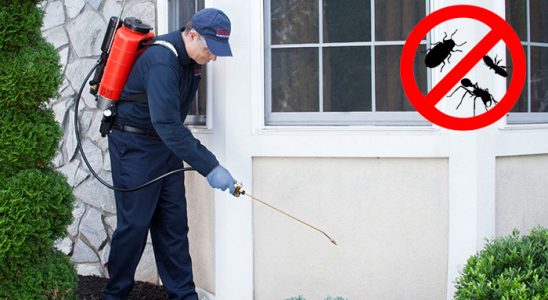 Evka 5 Uçan Haşere İlaçlama böcek ilaçlama ve haşere kontrolü — ilaclama-tr.com